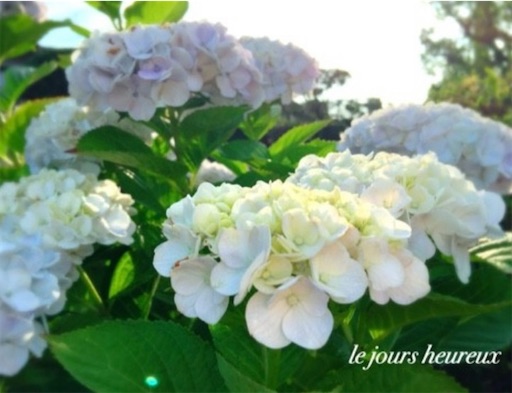 f:id:furegura1015:20250528210110j:image