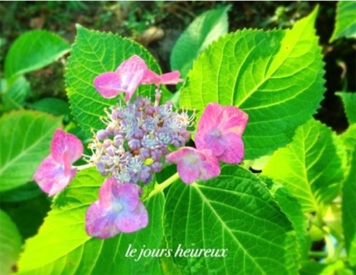 f:id:furegura1015:20250528210121j:image