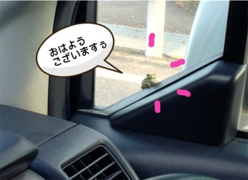 f:id:furegura1015:20250528210205j:image