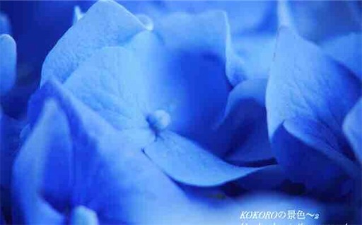 f:id:furegura1015:20250528210540j:image