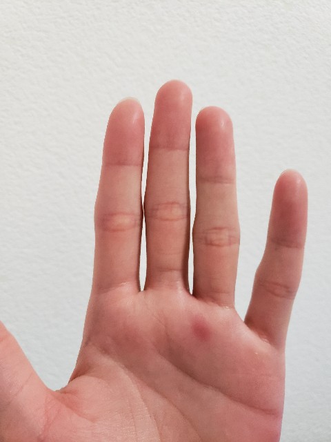 f:id:furesuburasut:20210427214219j:plain