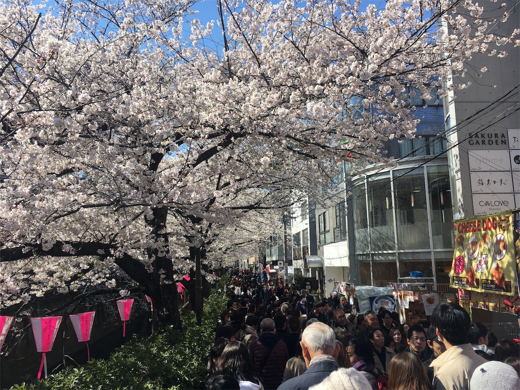f:id:furi-free:20190404004840j:image