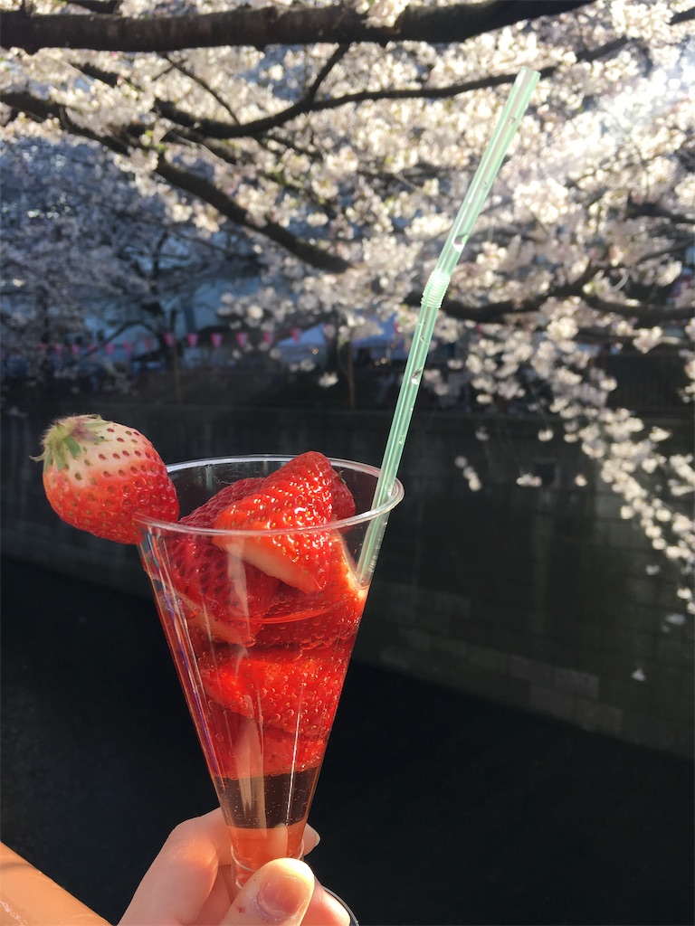 f:id:furi-free:20190404004941j:image