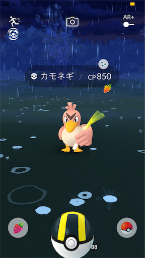 野生のカモネギから色違い そしてサトシ優勝 Fの世界の日記帳