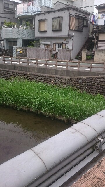f:id:furikake-gohan:20170705221200j:image