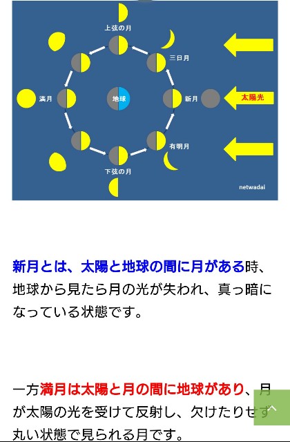 f:id:furikake-gohan:20190613233323j:plain f:id:furikake-gohan:20190613233323j:plain