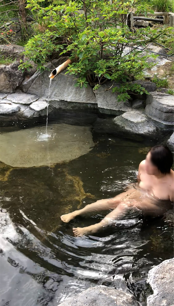 f:id:furo_emon:20190705230833p:image