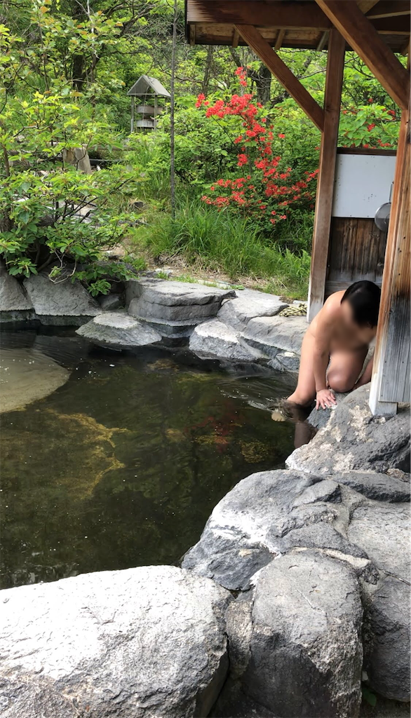 f:id:furo_emon:20190705230840p:image