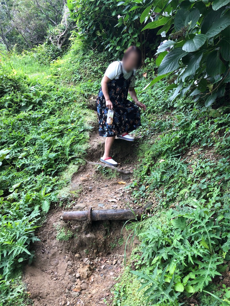 f:id:furo_emon:20190719171334j:image