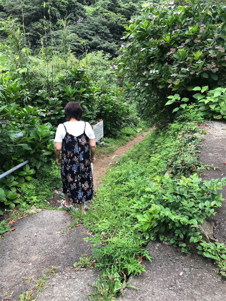 f:id:furo_emon:20190719171404j:image