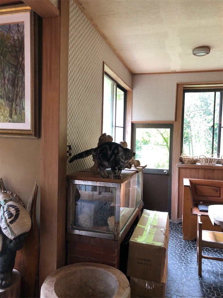 f:id:furo_emon:20190719214012j:image