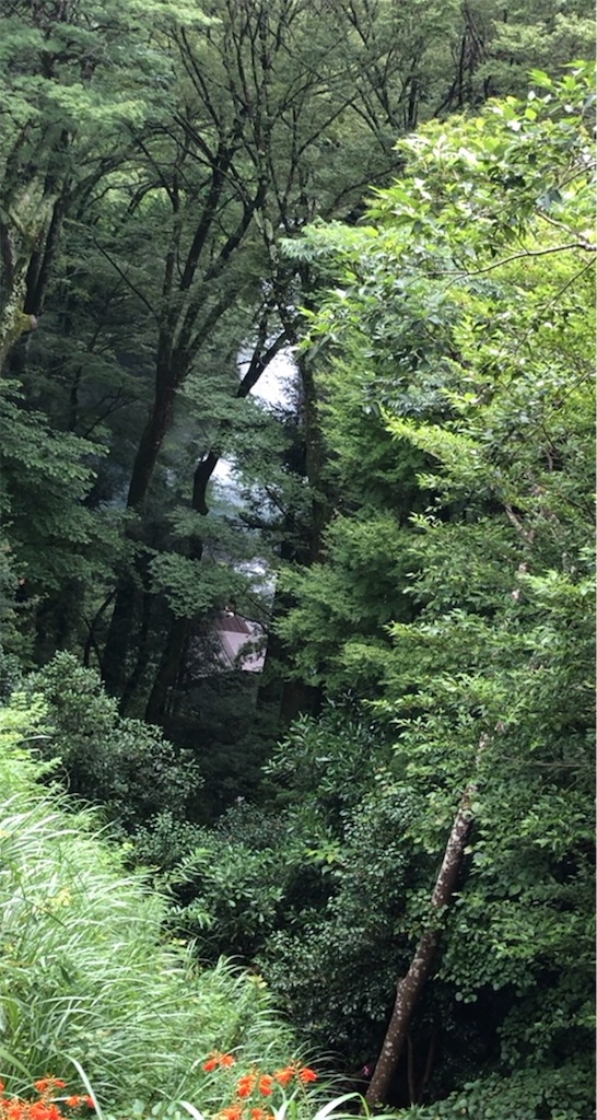 f:id:furo_emon:20190720164751j:image