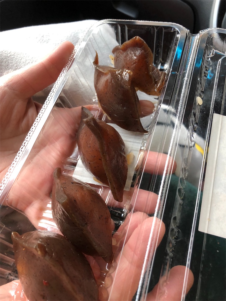 f:id:furo_emon:20190722223509j:image