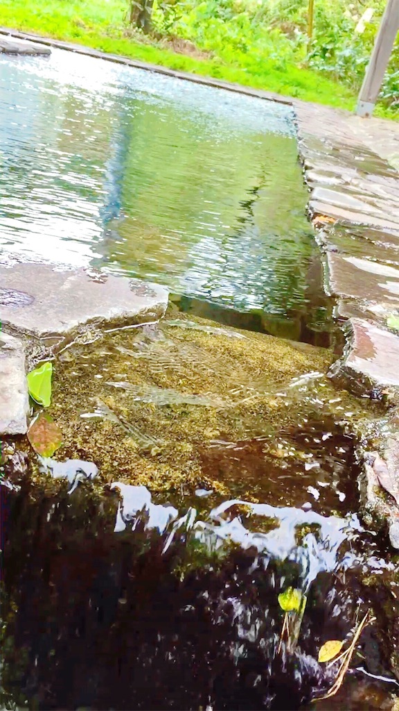 f:id:furo_emon:20190802180051j:image