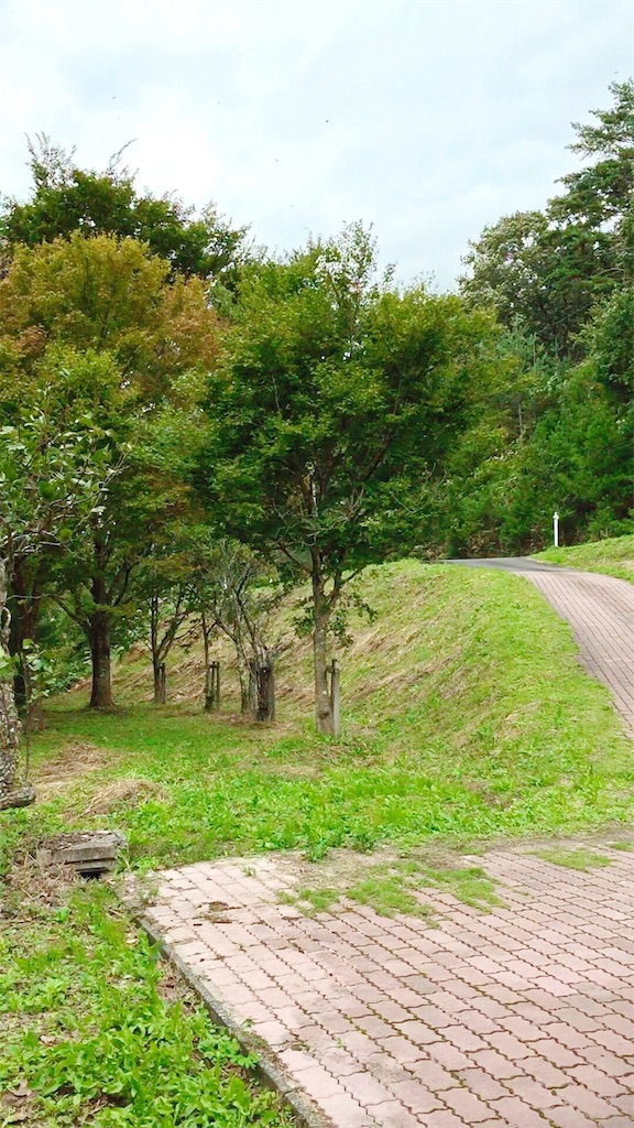 f:id:furo_emon:20190802180100j:image