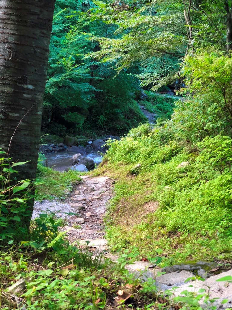 f:id:furo_emon:20190817235123j:image