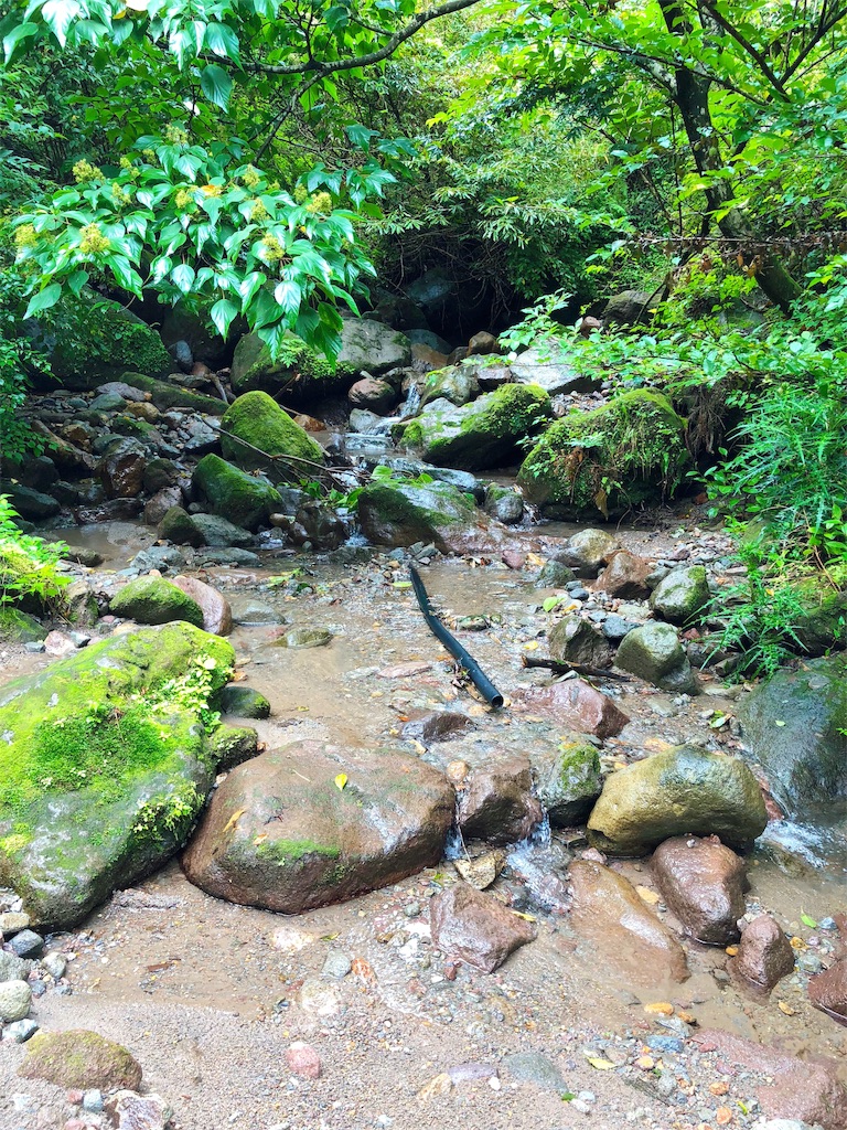 f:id:furo_emon:20190817235150j:image