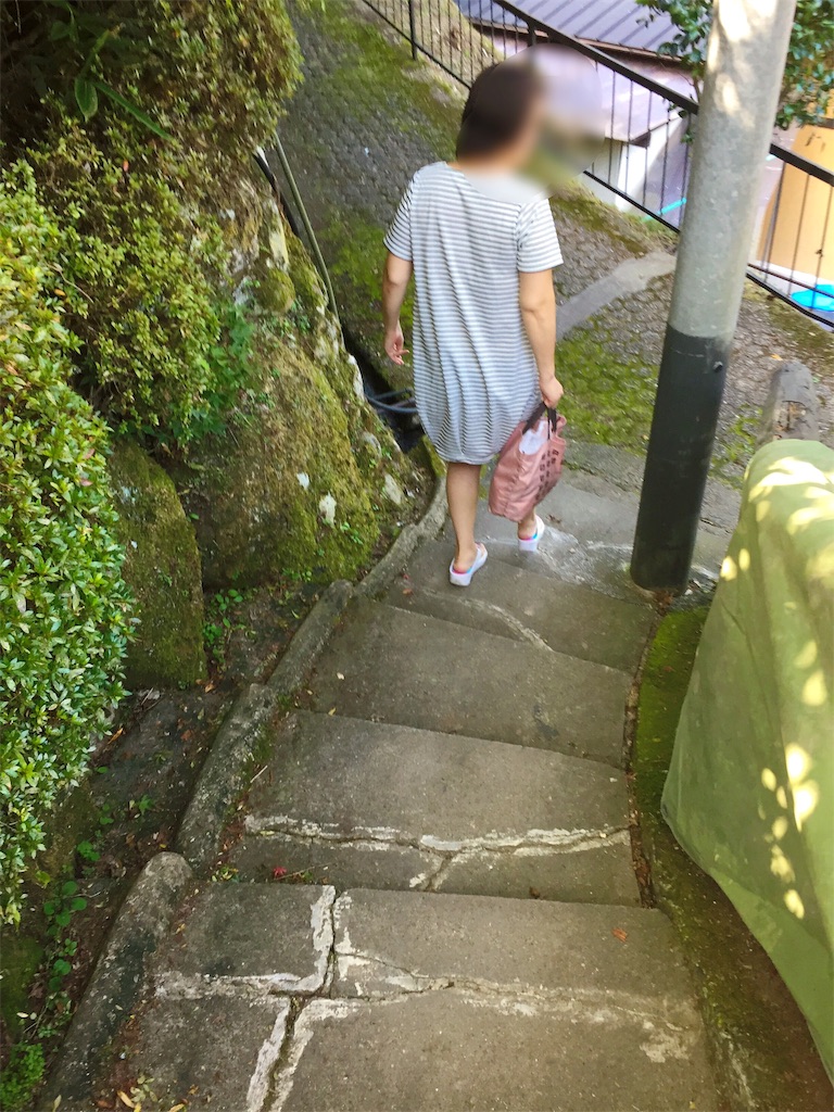 f:id:furo_emon:20190824184337j:image
