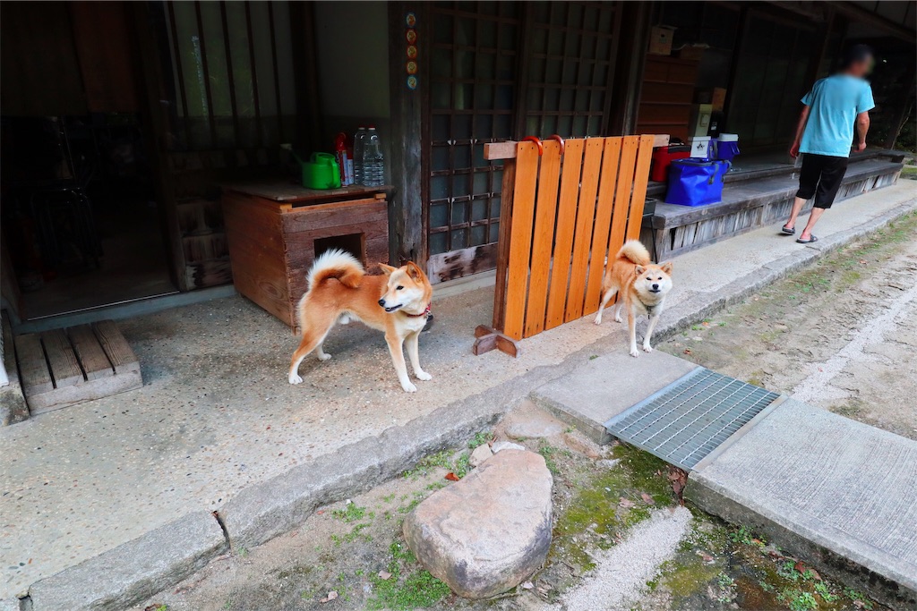 f:id:furo_emon:20190918122206j:image