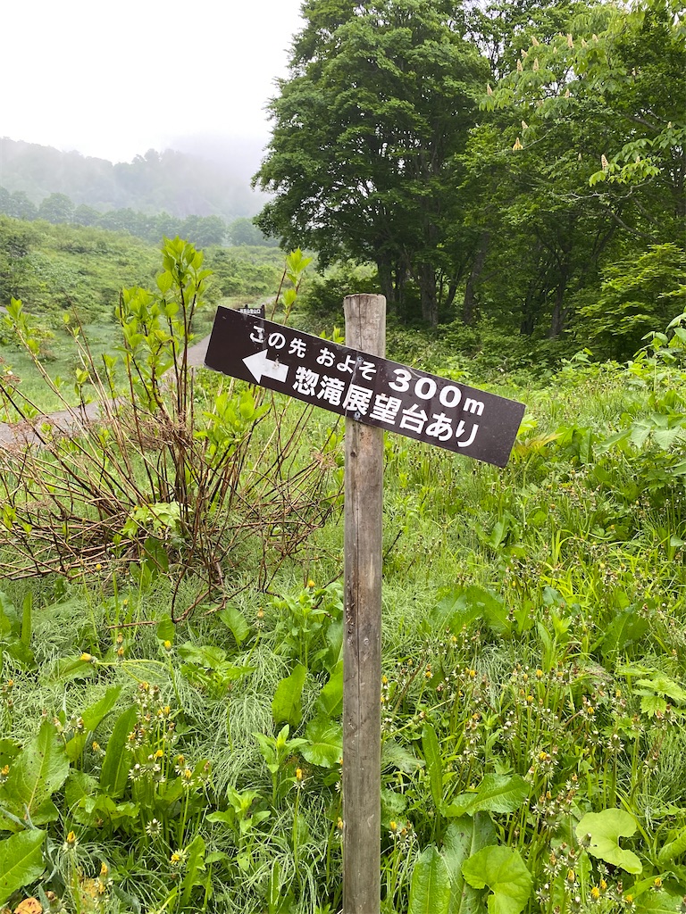 f:id:furo_emon:20200609203919j:image