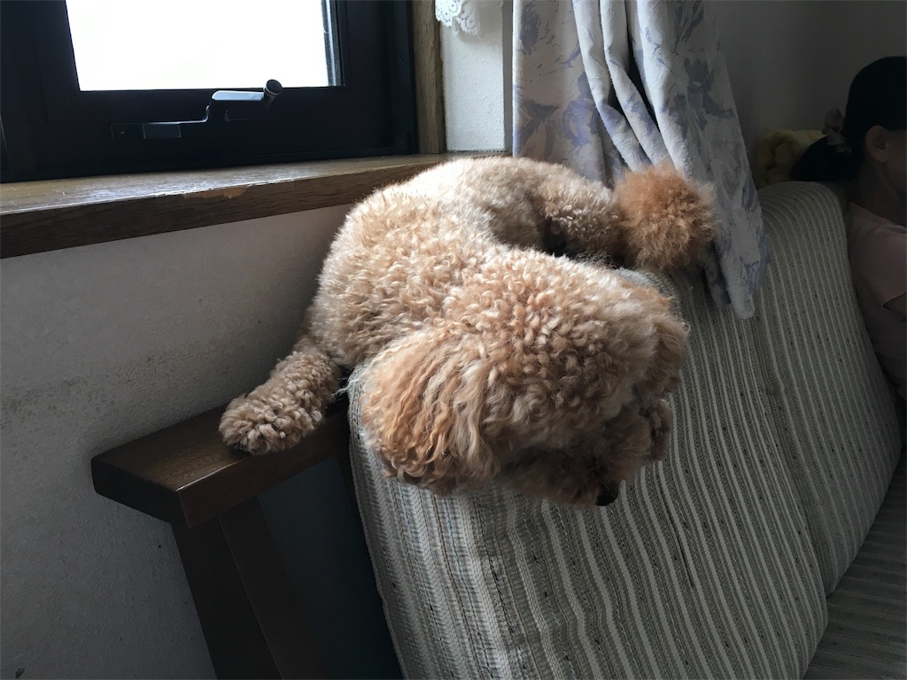 f:id:furryjp2010:20180901093619j:image f:id:furryjp2010:20180901093619j:image