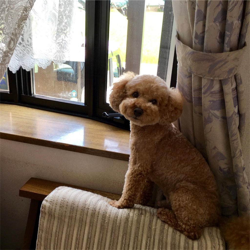 f:id:furryjp2010:20180911122851j:image f:id:furryjp2010:20180911122851j:image