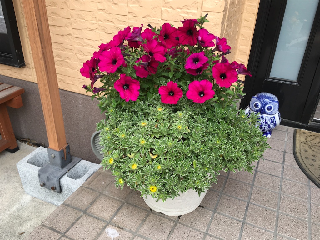 f:id:furryjp2010:20190420082448j:image f:id:furryjp2010:20190420082448j:image