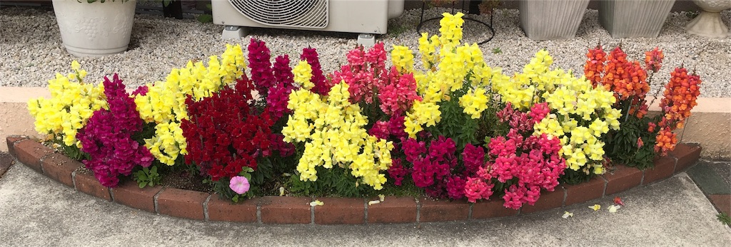 f:id:furryjp2010:20190420083258j:image