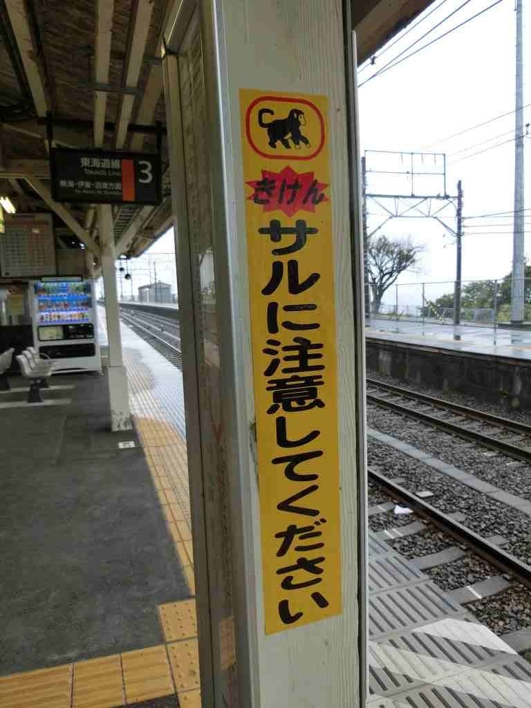 f:id:furu0962:20170618184028j:plain f:id:furu0962:20170618184028j:plain