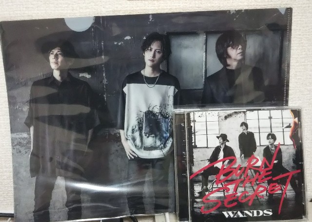 WANDS 6th Al. 「BURN THE SECRET」 - ふるしゅんのブログ