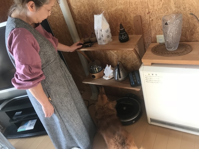 イメージ 8