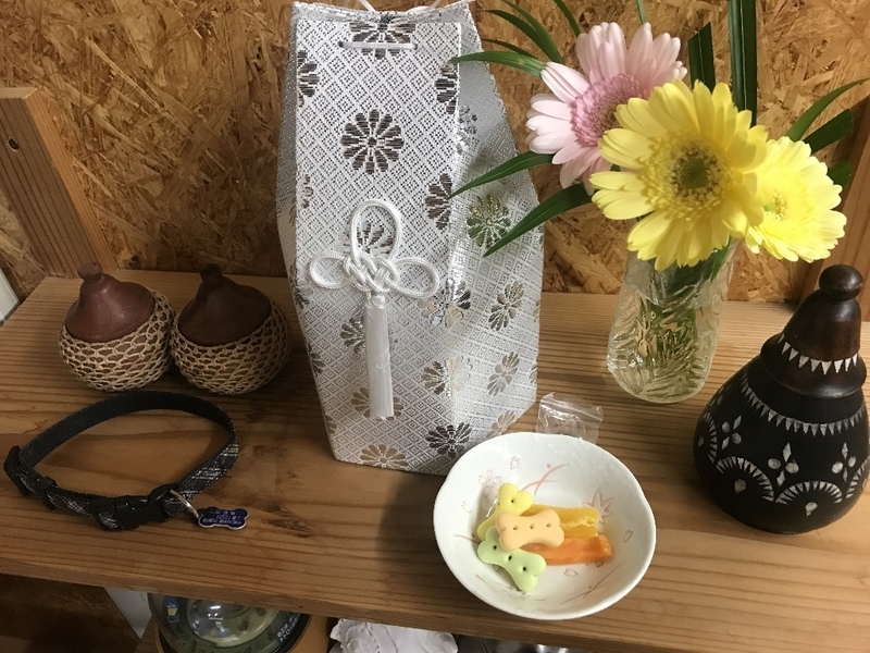 イメージ 9