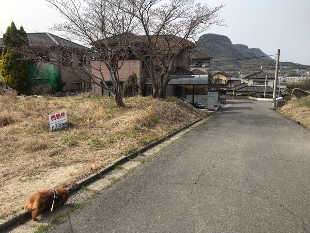 イメージ 4