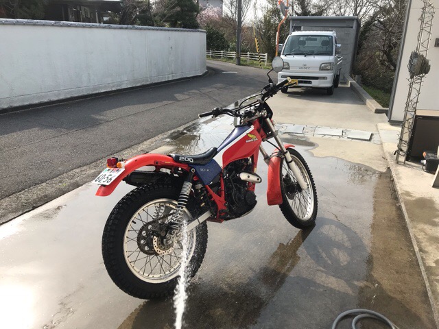 イメージ 7
