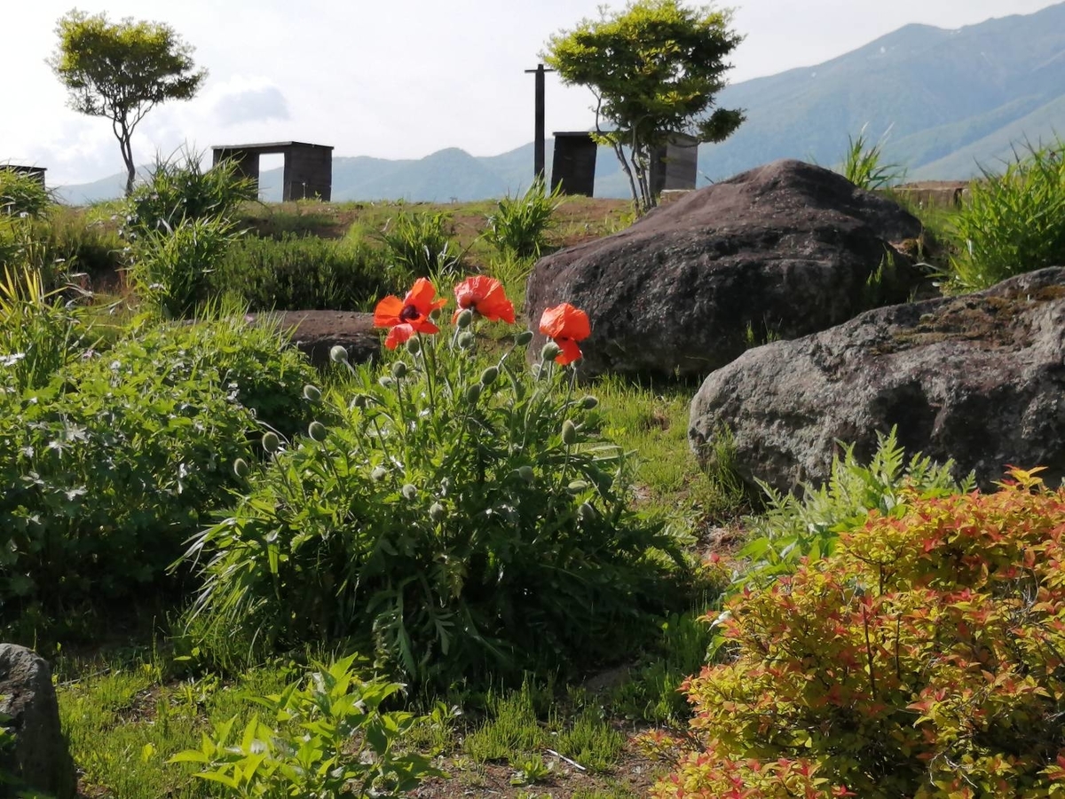 f:id:furudate:20210719162812j:plain