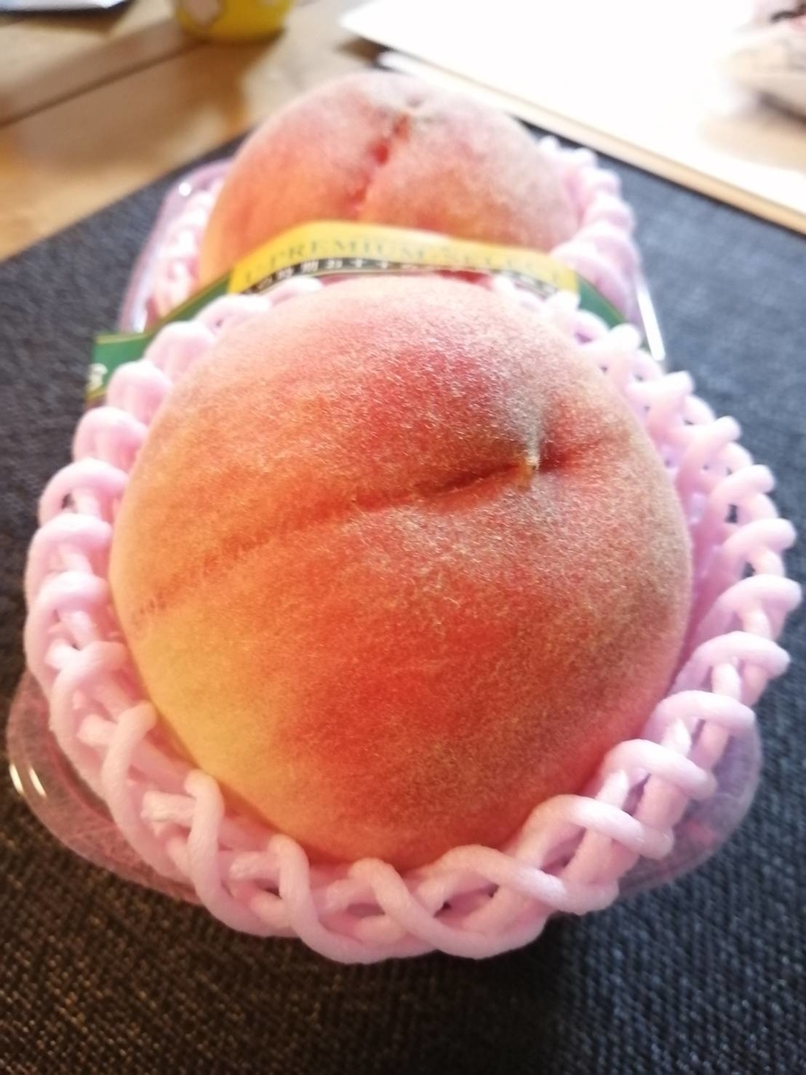 f:id:furudate:20210828132049j:plain