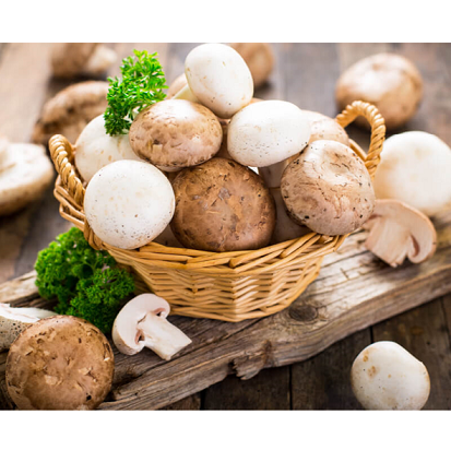 f:id:furudate:20211004160752p:plain