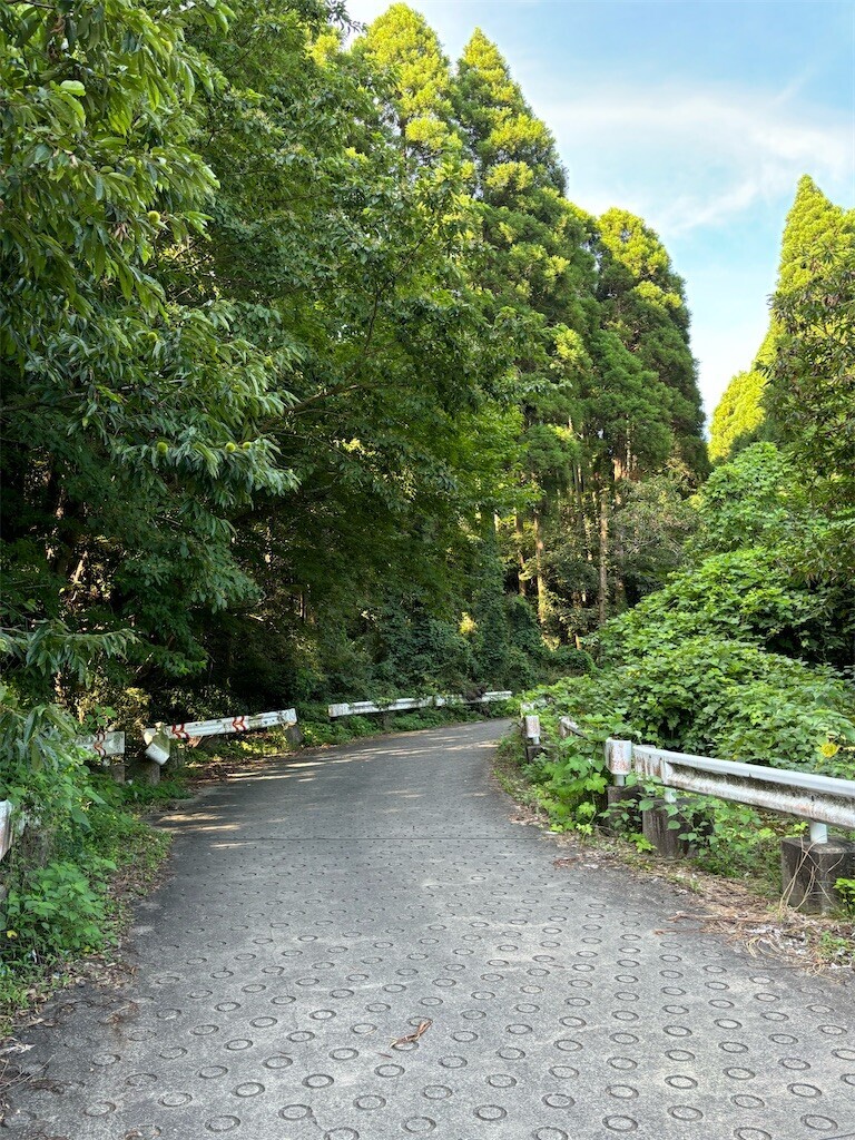 f:id:furuhon-ya:20240811170351j:image