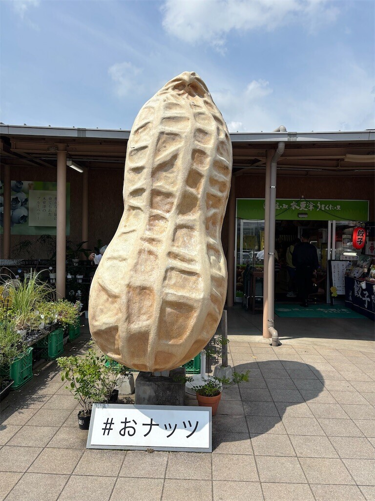 f:id:furuhon-ya:20260823191139j:image