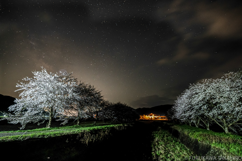 星景と桜