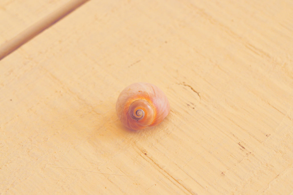 f:id:furumono:20180730202521j:plain f:id:furumono:20180730202521j:plain