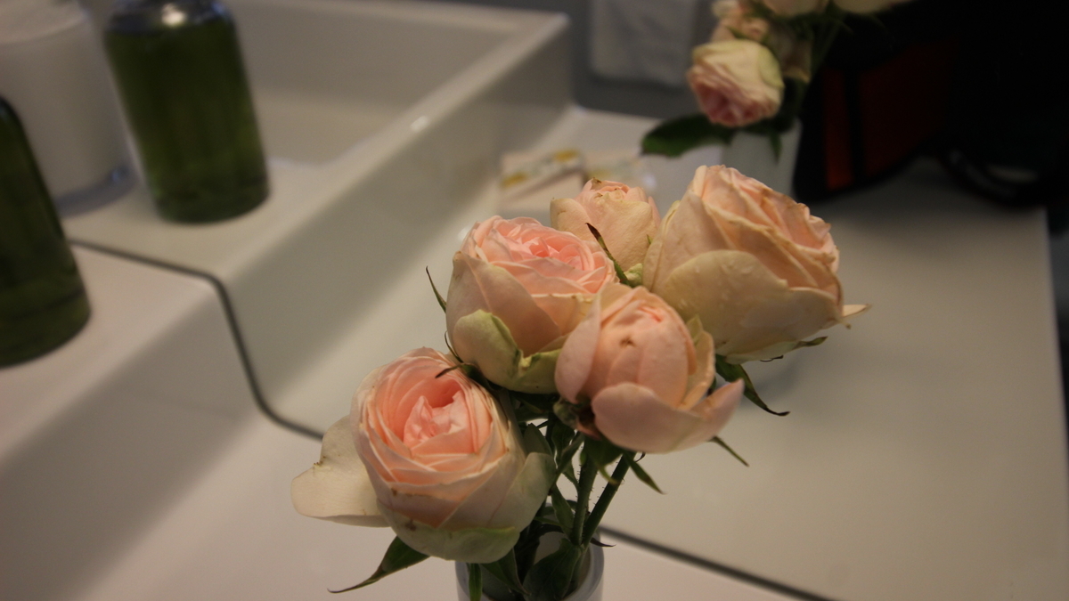 f:id:fururinaYOC:20200529172224j:plain f:id:fururinaYOC:20200529172224j:plain