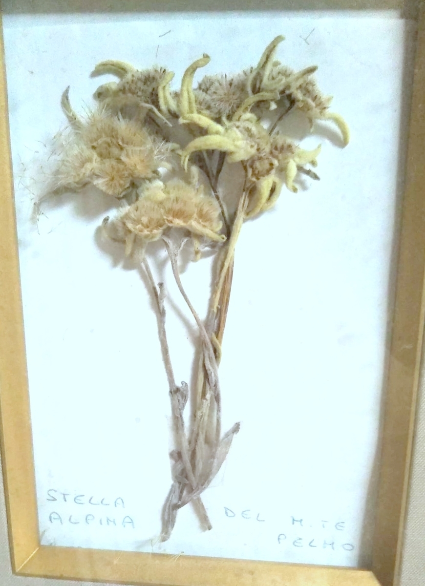 f:id:fururinaYOC:20200904222800j:plain f:id:fururinaYOC:20200904222800j:plain