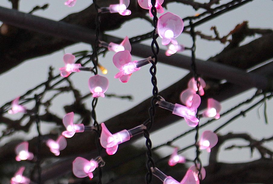 f:id:fururinaYOC:20201106133320j:plain f:id:fururinaYOC:20201106133320j:plain