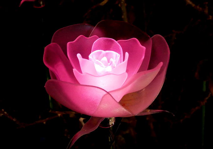 f:id:fururinaYOC:20201106133438j:plain f:id:fururinaYOC:20201106133438j:plain