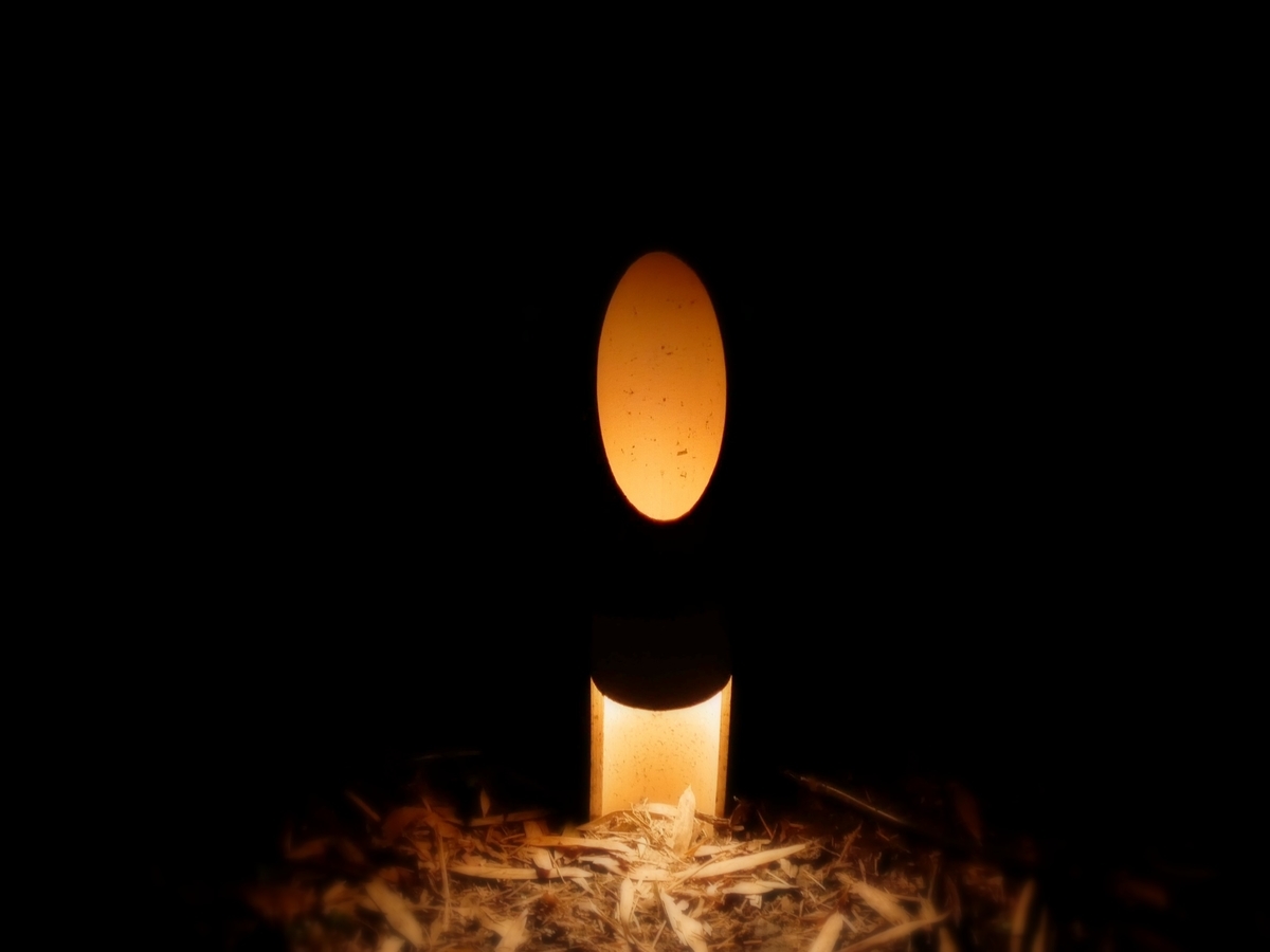 f:id:fururinaYOC:20201124221909j:plain