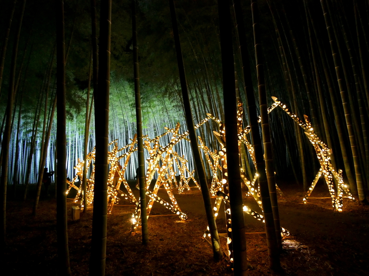 f:id:fururinaYOC:20201124221928j:plain