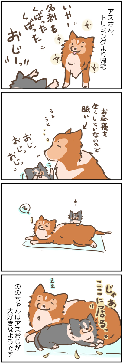アスさんの帰宅 - 明日もまるくおさまるの