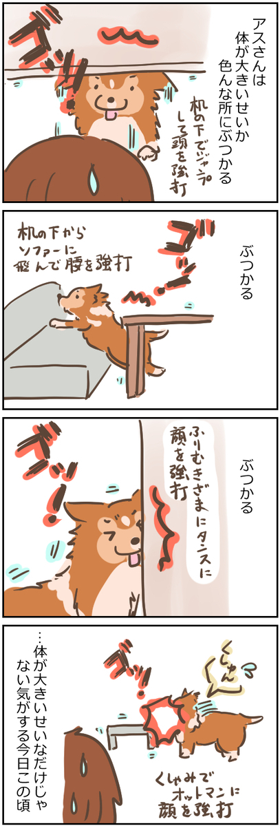明日もまるくおさまるの