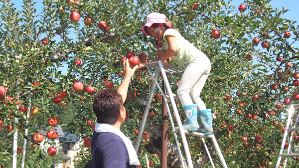 f:id:furusato-iiyama:20170919094451p:plain